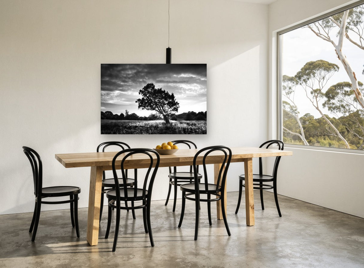 Backlit Oak Meadow landscape canvas print on the wall of a dining room