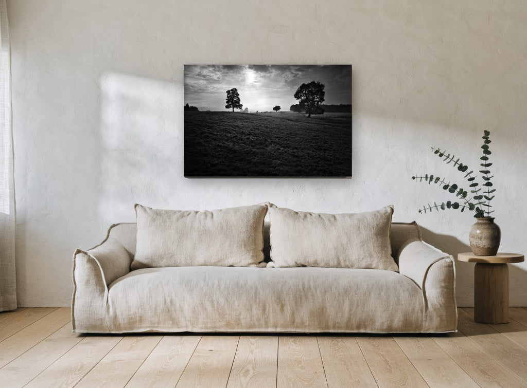 Backlit Pasture Oaks landscape canvas print on the wall of a living room