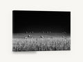 Bales Under Dark Sky, black and white hay bale field photograph, landscape canvas wall art print ready to hang