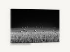Bales Under Dark Sky, black and white hay bale field photograph, landscape canvas wall art print ready to hang