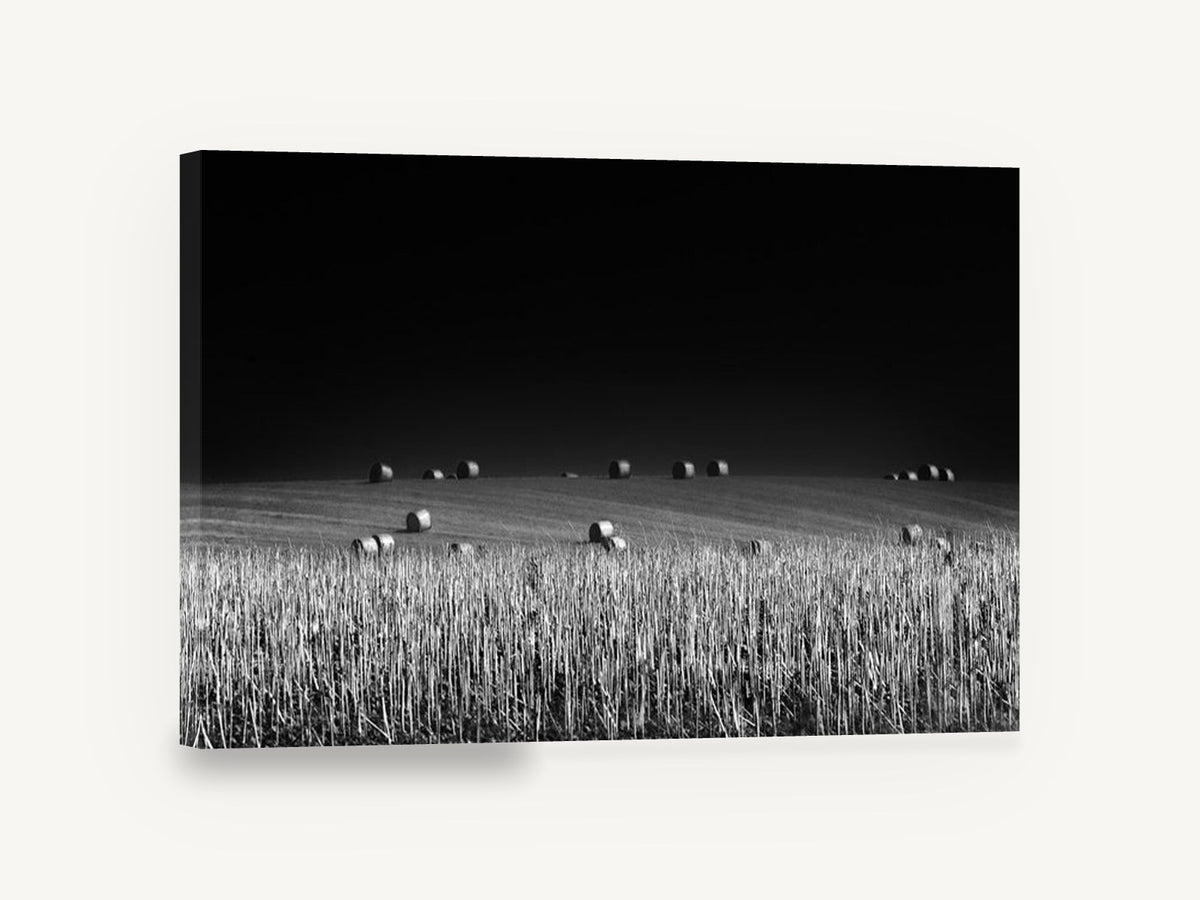 Bales Under Dark Sky, black and white hay bale field photograph, landscape canvas wall art print ready to hang
