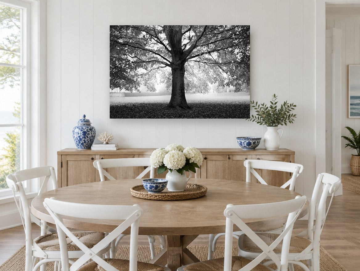 Beech Tree Canopy landscape canvas print on the wall of a Hamptons dining room