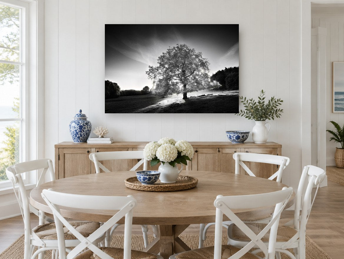 Backlit Oak Hillside landscape canvas print on the wall of a Hamptons dining room