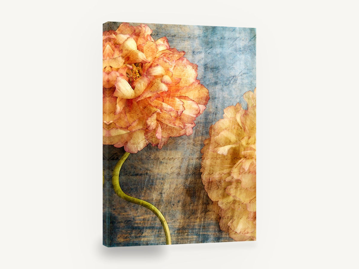 Peach Peonies on Script, peach peony textured script floral, floral canvas wall art print ready to hang