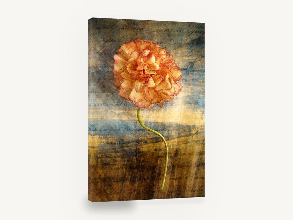 Script Ranunculus Stem, ranunculus flower vintage script texture, floral canvas wall art print ready to hang