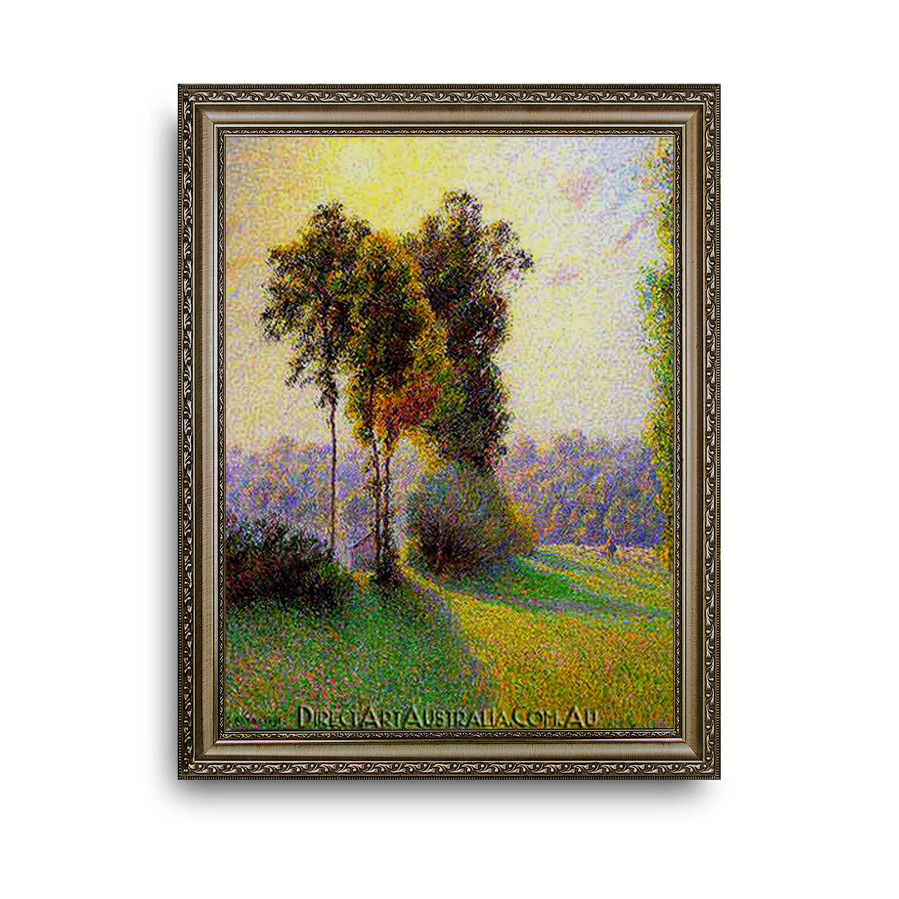 Ornate Silver Frame