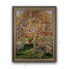 Ornate Silver Frame