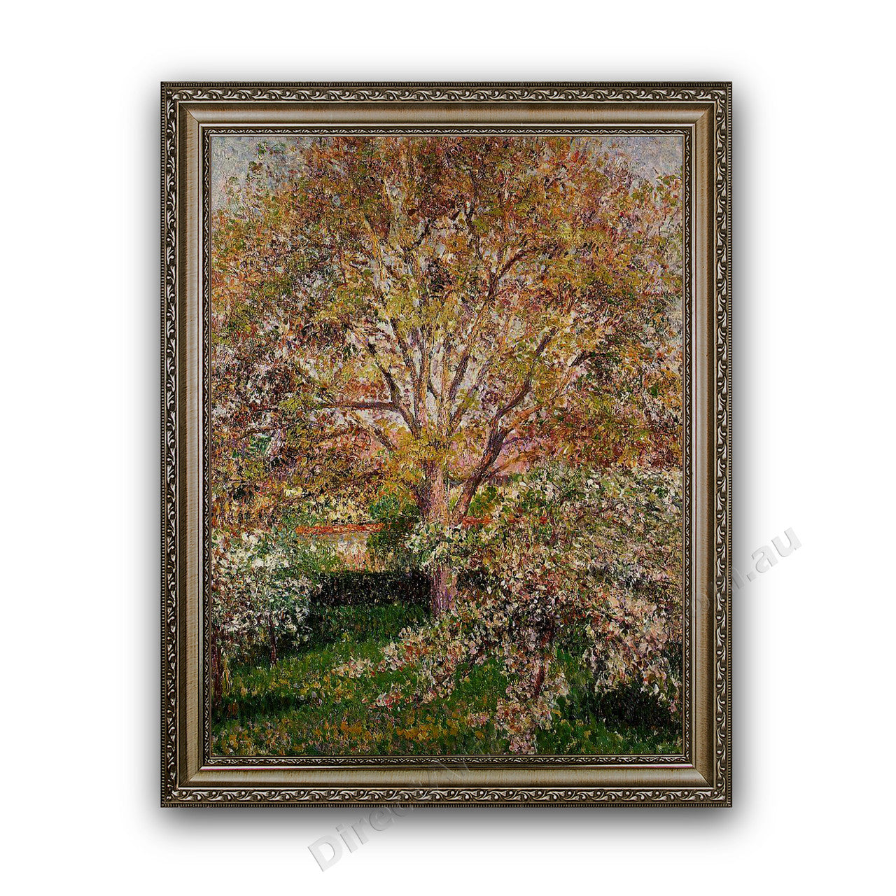 Ornate Silver Frame