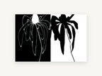 Flower Positive Negative, floral canvas wall art print, front view