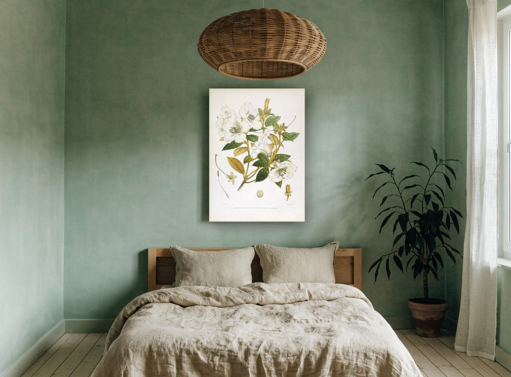 Ivory Rhododendron Spray vintage canvas print on the wall of a bedroom