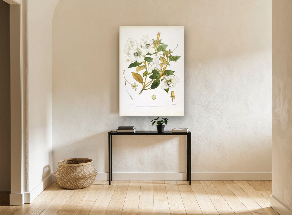 Ivory Rhododendron Spray vintage canvas print on the wall of a hallway