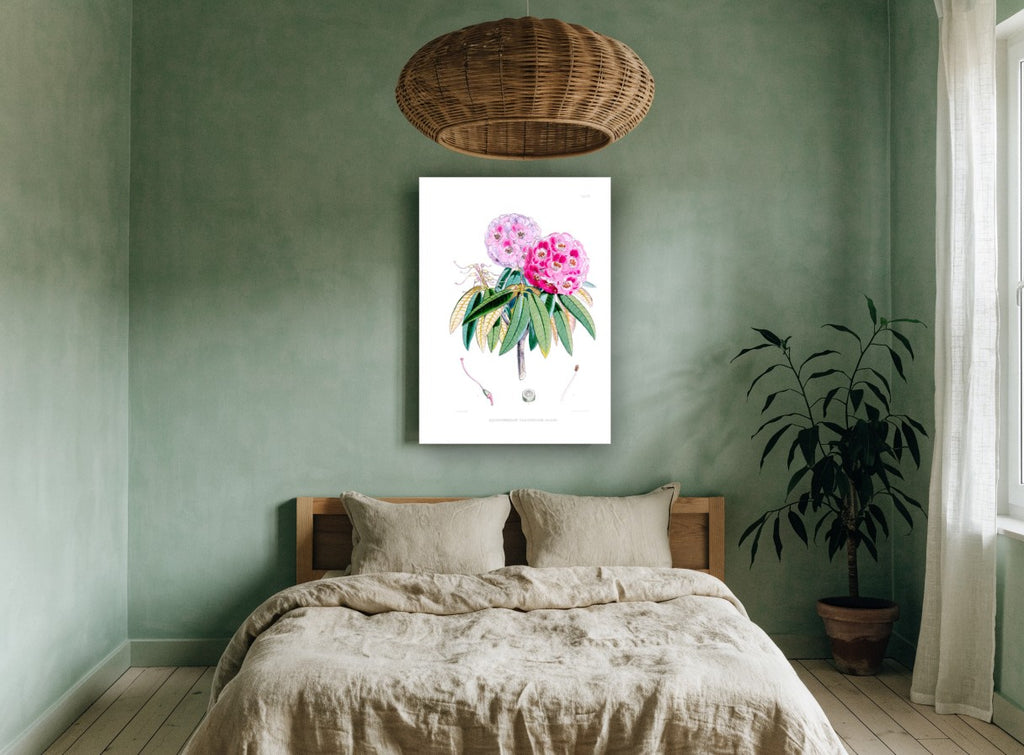 Pink Rhododendron Study vintage canvas print on the wall of a bedroom