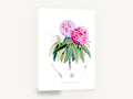 Pink Rhododendron Study, antique pink rhododendron botanical, stretched canvas wall art print ready to hang