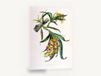 Galeandra Orchid Spray, antique orchid botanical illustration, stretched canvas wall art print ready to hang