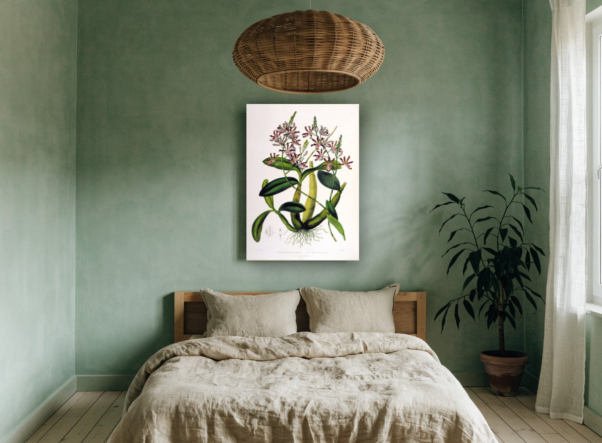 Trumpet Orchid Study vintage canvas print on the wall of a bedroom