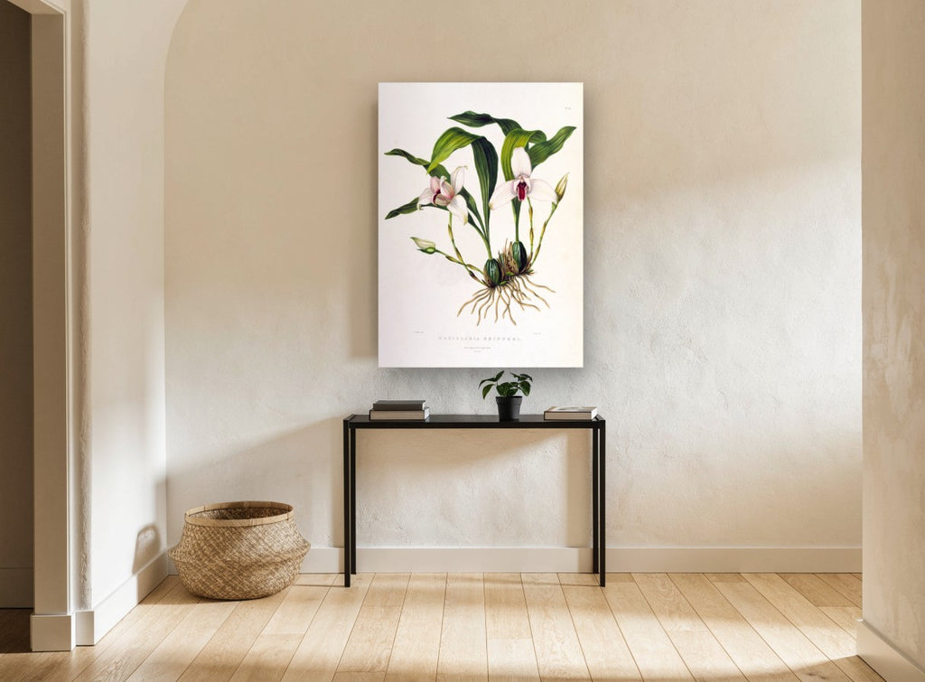 White Orchid Study vintage canvas print on the wall of a hallway