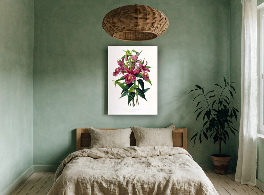 Magenta Sobralia Orchids vintage canvas print on the wall of a bedroom