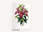 Magenta Sobralia Orchids, vintage sobralia orchid botanical, stretched canvas wall art print ready to hang