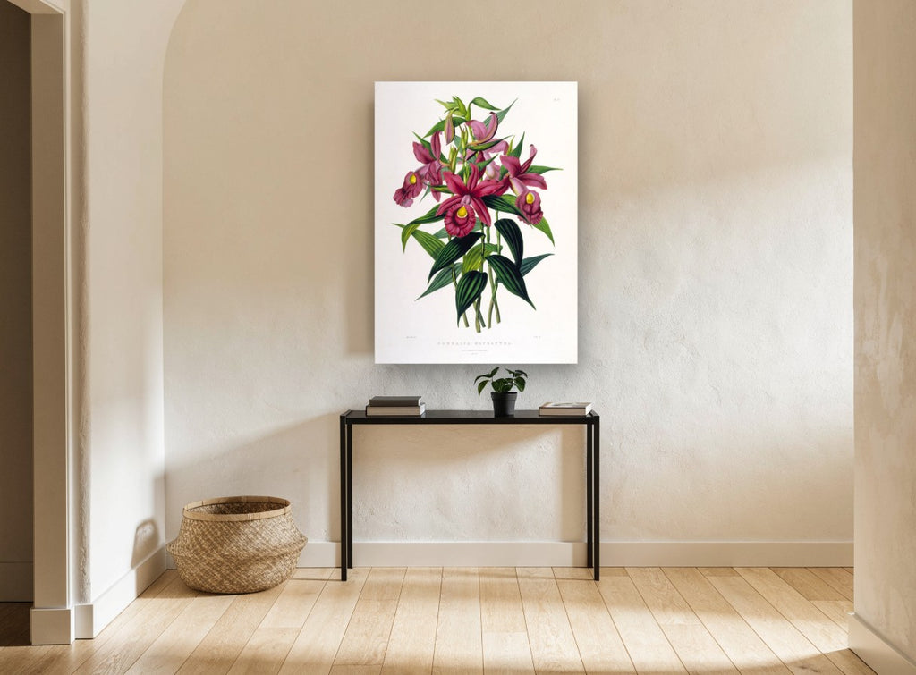 Magenta Sobralia Orchids vintage canvas print on the wall of a hallway