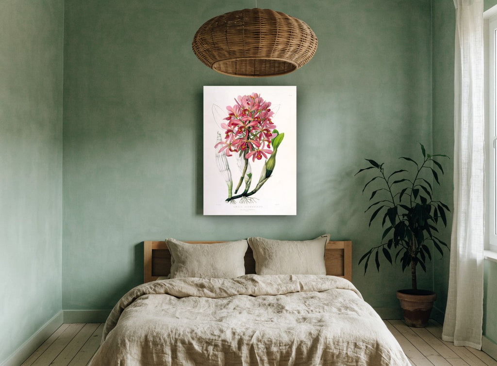 Pink Laelia Orchid Spray vintage canvas print on the wall of a bedroom