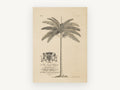 Royal Palm Dedication, vintage canvas wall art print, front view