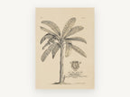 Banana Tree Dedication Plate, vintage canvas wall art print, front view