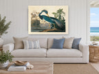 Blue Heron Preening landscape canvas print on the wall of a beach house living room