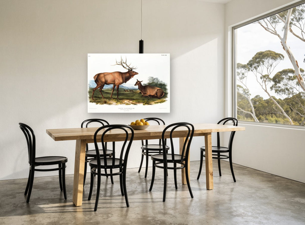 Elk on the Meadow landscape canvas print on the wall of a dining room