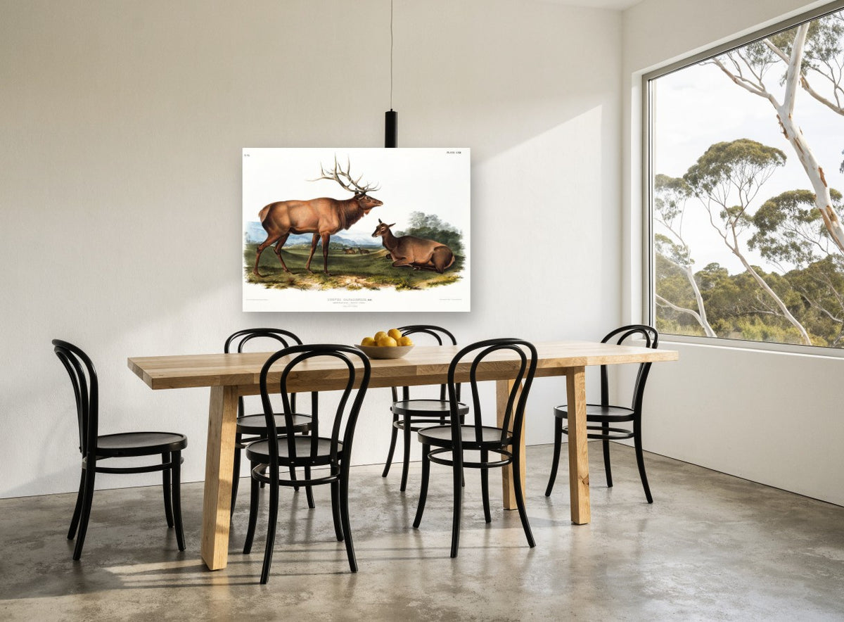 Elk on the Meadow landscape canvas print on the wall of a dining room