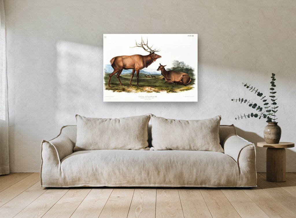 Elk on the Meadow landscape canvas print on the wall of a living room