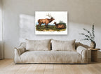 Elk on the Meadow landscape canvas print on the wall of a living room