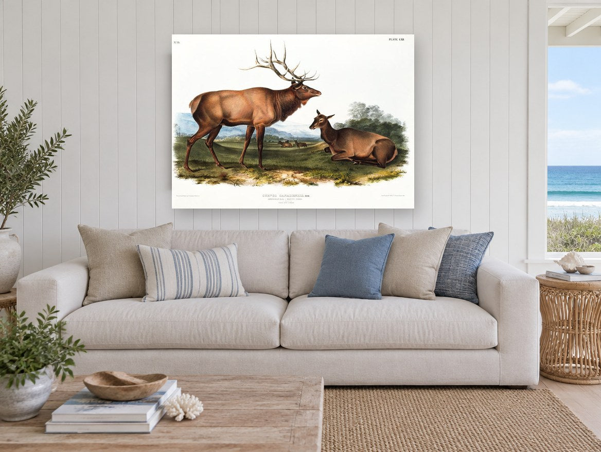 Elk on the Meadow landscape canvas print on the wall of a beach house living room
