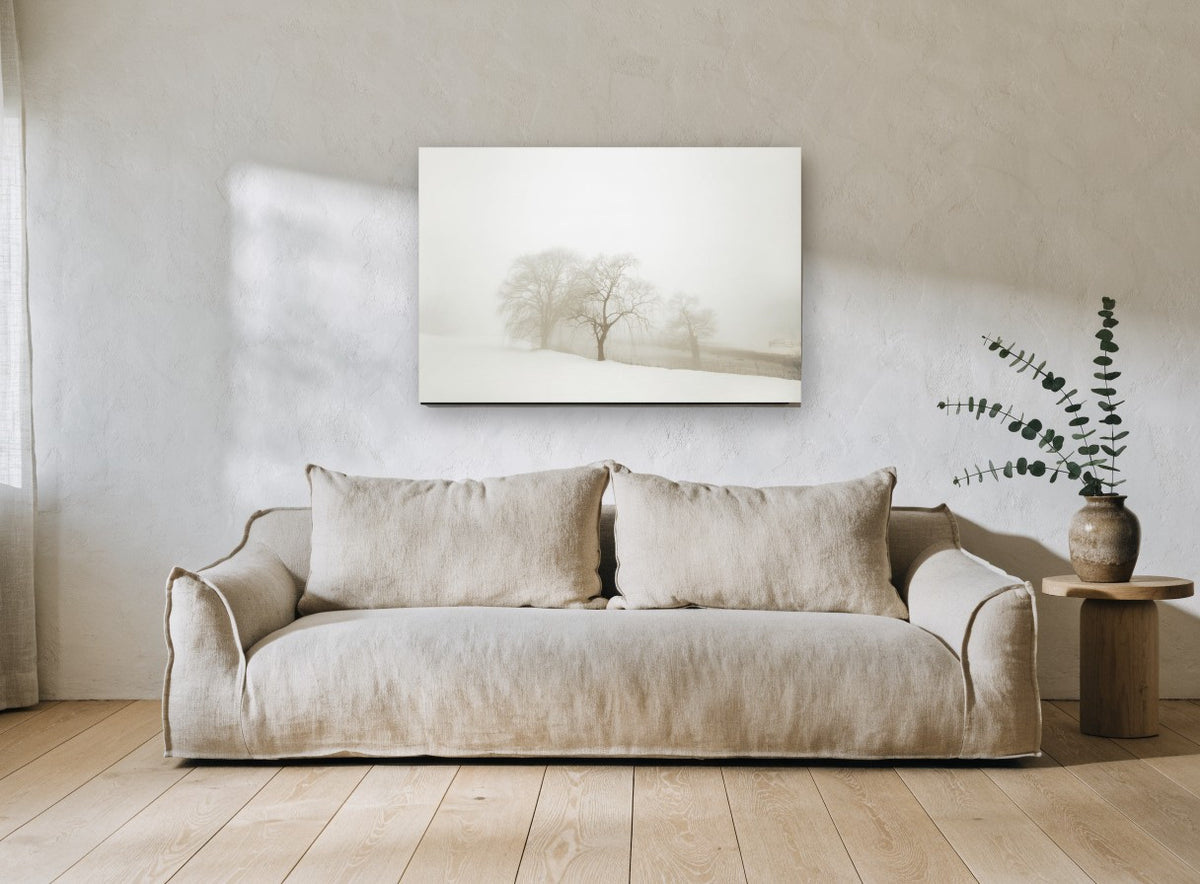 Willows in White Fog landscape canvas print on the wall of a living room