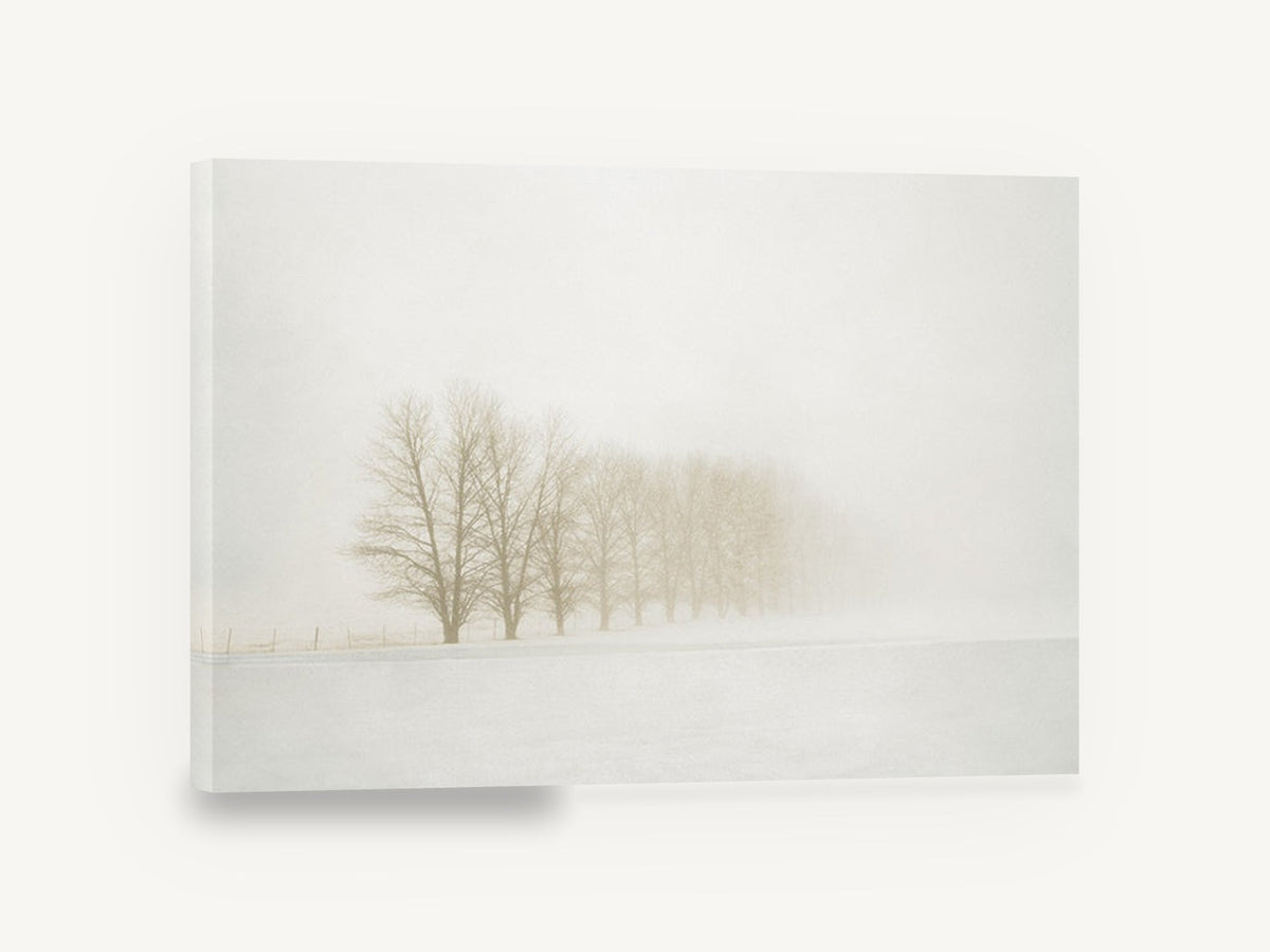 Winter Poplar Row, foggy winter tree line photograph, landscape canvas wall art print ready to hang