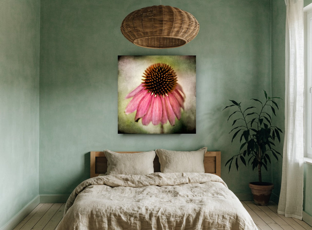 Drooping Coneflower floral canvas print on the wall of a bedroom