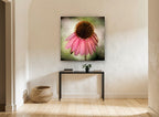 Drooping Coneflower floral canvas print on the wall of a hallway