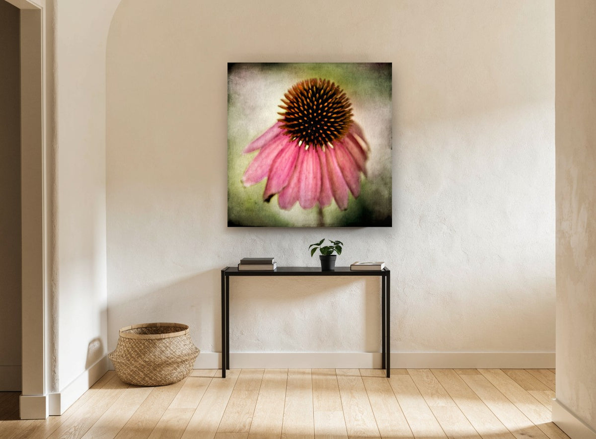 Drooping Coneflower floral canvas print on the wall of a hallway
