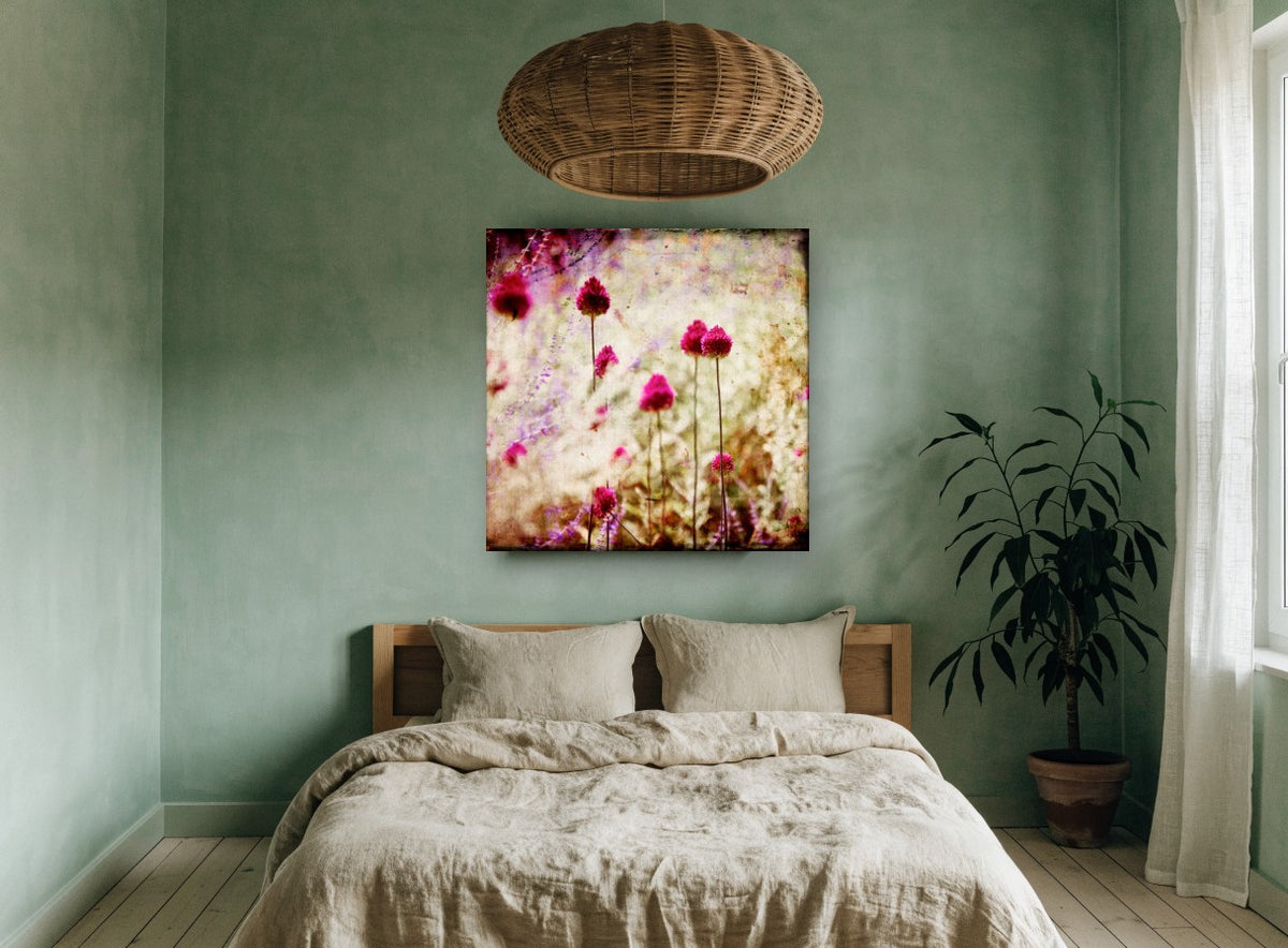 Magenta Allium Haze floral canvas print on the wall of a bedroom