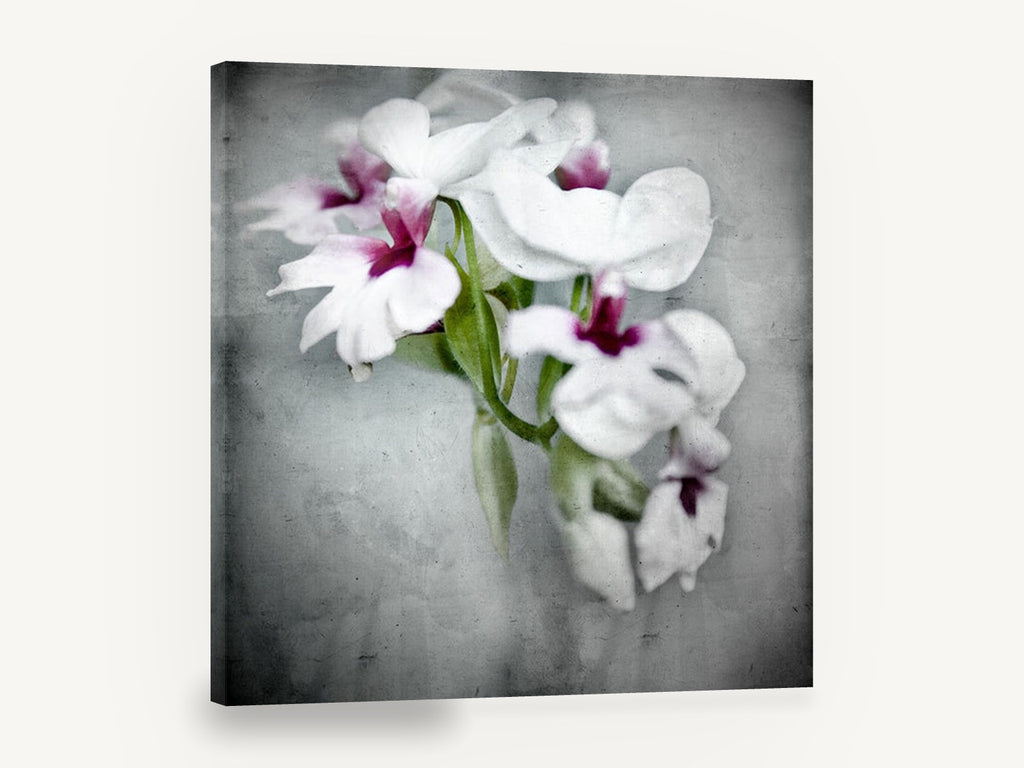 Soft Orchid Spray, white orchid flowers textured photograph, floral canvas wall art print ready to hang