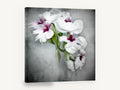 Soft Orchid Spray, white orchid flowers textured photograph, floral canvas wall art print ready to hang