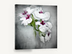 Soft Orchid Spray, white orchid flowers textured photograph, floral canvas wall art print ready to hang