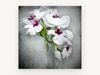 Soft Orchid Spray, floral canvas wall art print, front view
