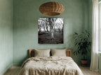 Lichen Woodland Hush landscape canvas print on the wall of a bedroom