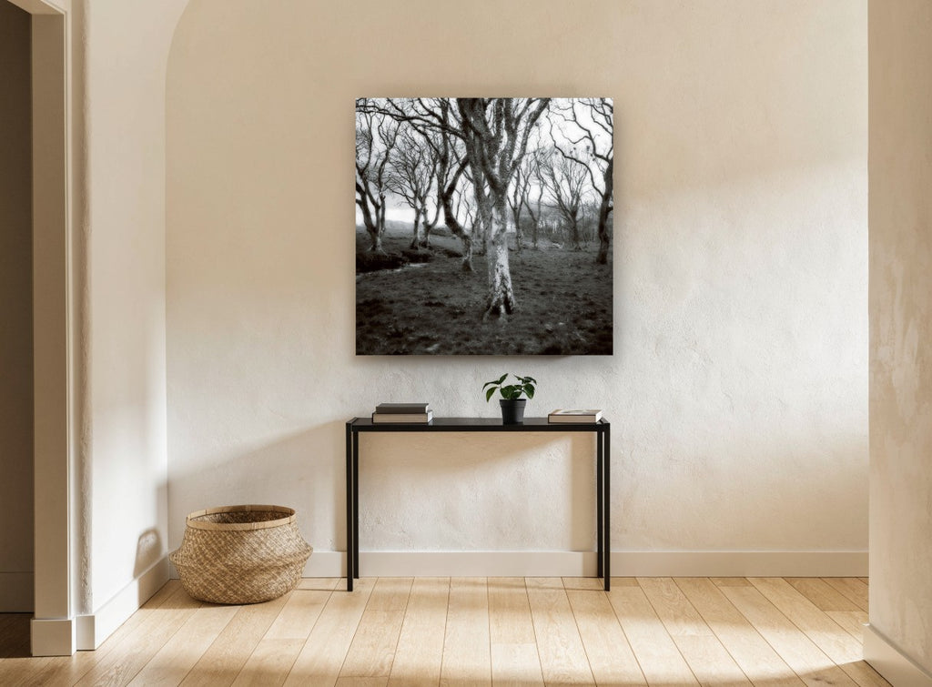 Lichen Woodland Hush landscape canvas print on the wall of a hallway