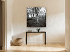 Lichen Woodland Hush landscape canvas print on the wall of a hallway