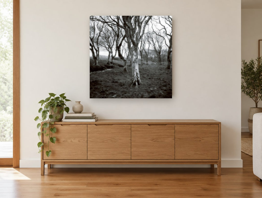 Lichen Woodland Hush landscape canvas print on the wall of a living room above a sideboard