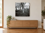 Lichen Woodland Hush landscape canvas print on the wall of a living room above a sideboard
