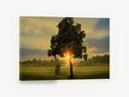 Sunrise Through the Tree, lone tree sunrise fairway photograph, landscape canvas wall art print ready to hang