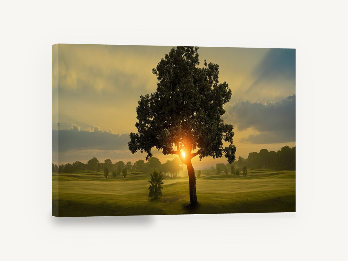 Sunrise Through the Tree, lone tree sunrise fairway photograph, landscape canvas wall art print ready to hang