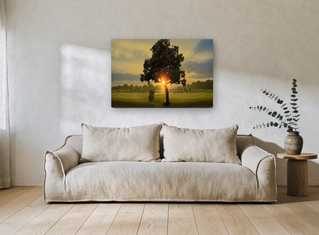 Sunrise Through the Tree landscape canvas print on the wall of a living room
